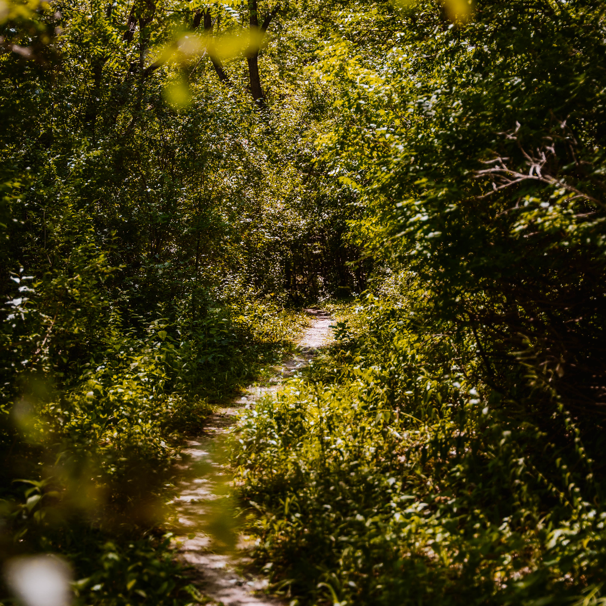 /userdocs/Union Grove State Park