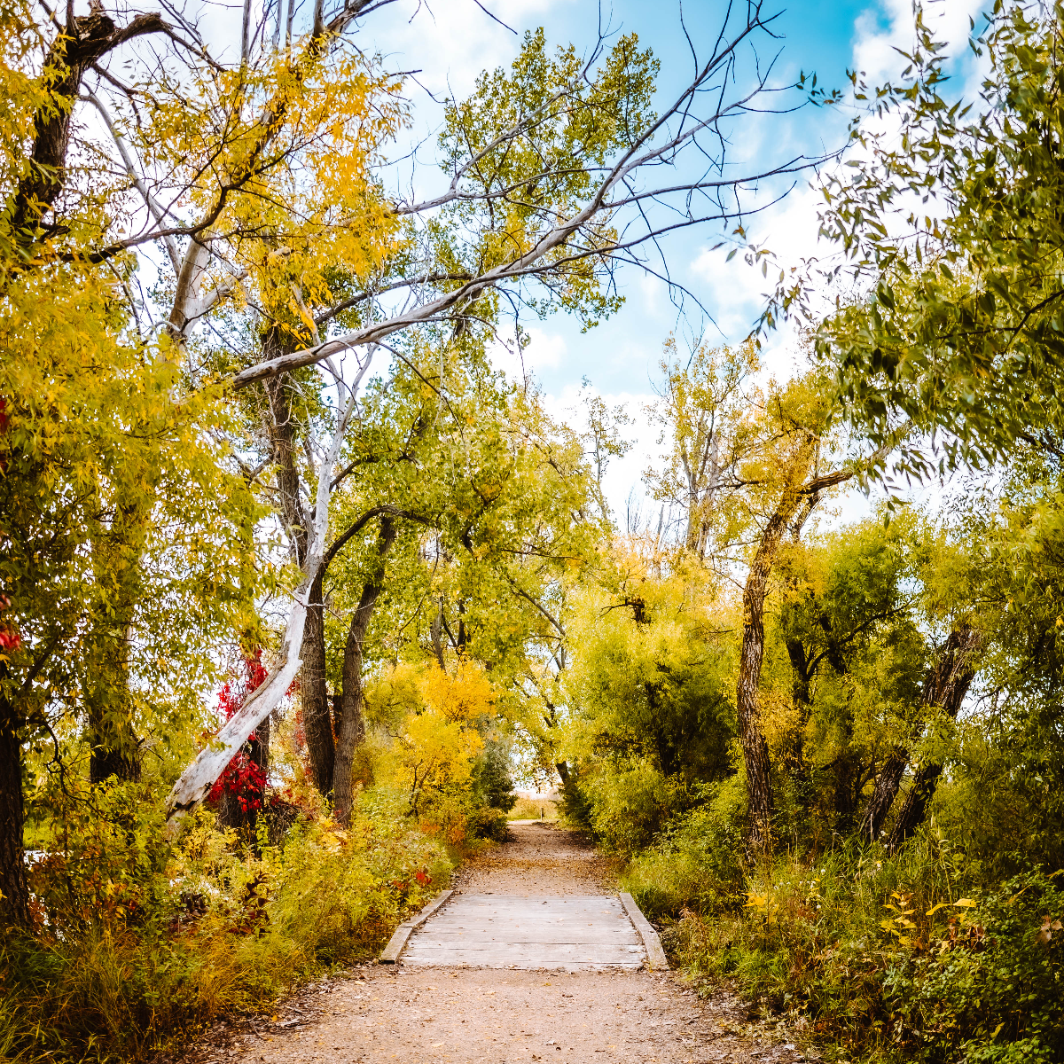 /userdocs/Pelican Lake Recreation Area