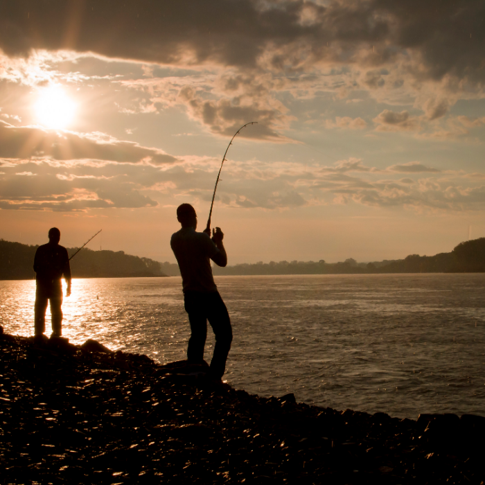 Thumbnail image of /userdocs/nav/Angler_Fishing_SamStukel.jpg